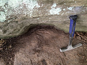 image of footprints-fossils