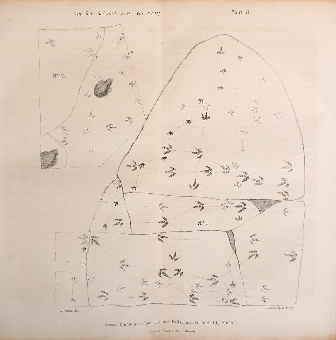 chapter illustration