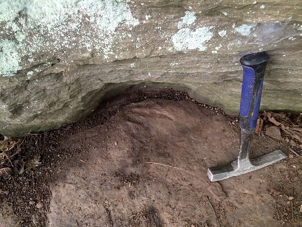 image of footprints-fossils