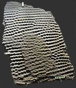 image of fossil-ripples