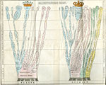 image of paleontological-chart