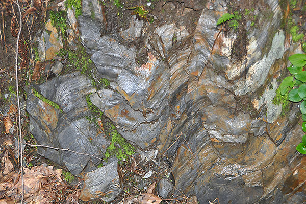 image of schist